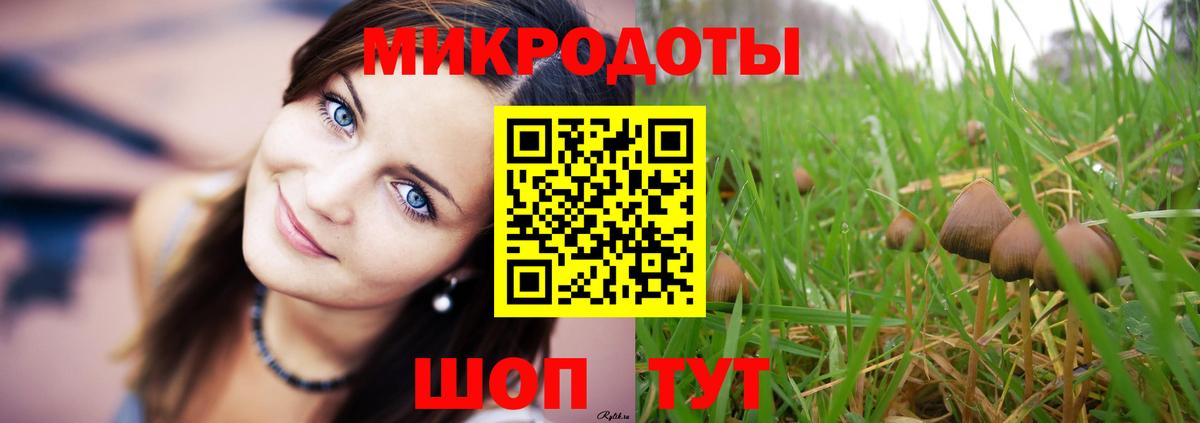 Псилоцибиновые грибы GOLDEN TEACHER Биробиджан